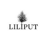 Liliput: A 401(K) Guide