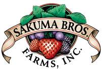Sakuma Brothers: A 401(K) Guide